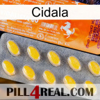 Cidala new05